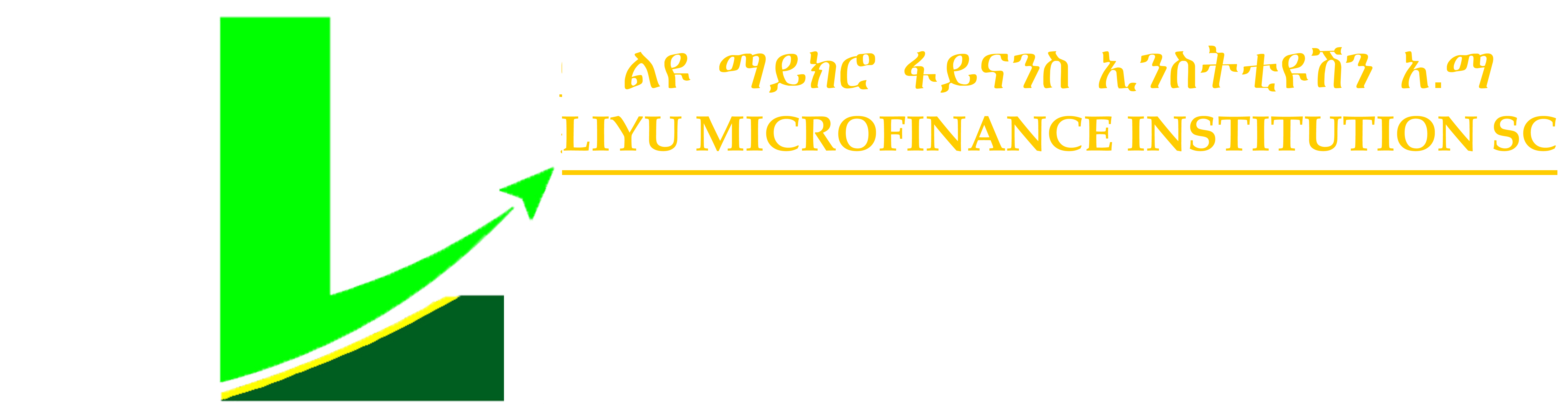 Liyu Microfinance Institution S.C